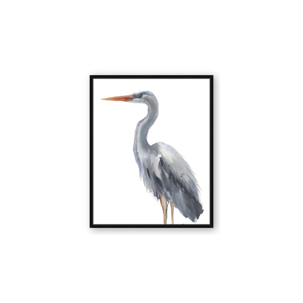 Egret II