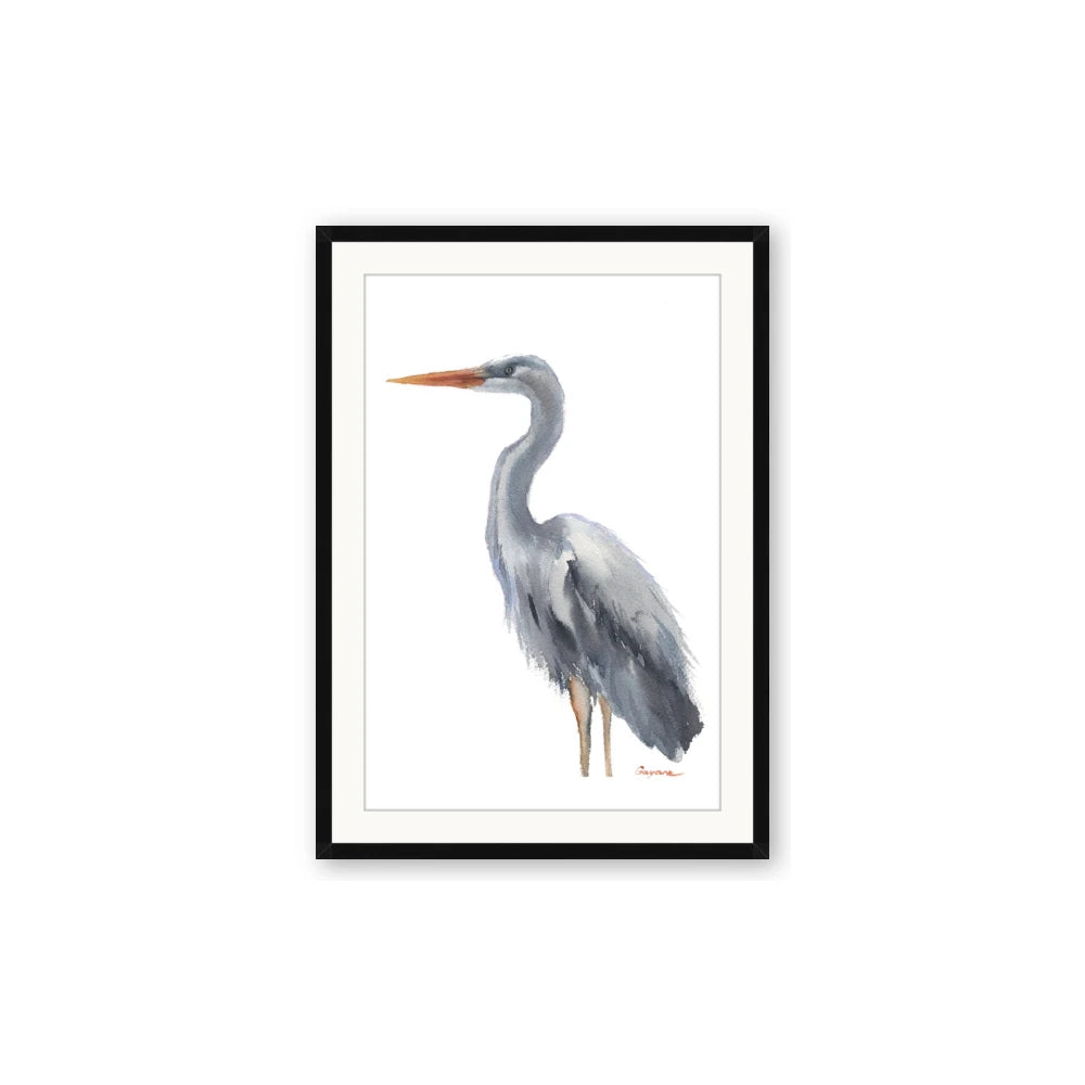 Egret II