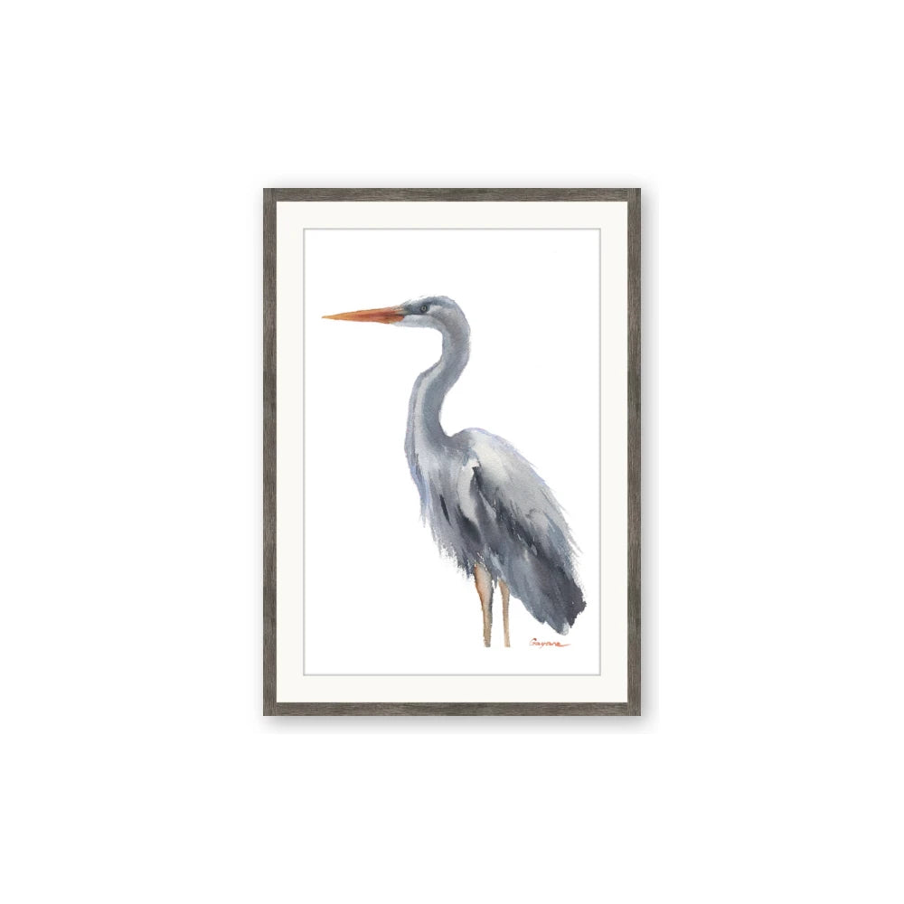 Egret II