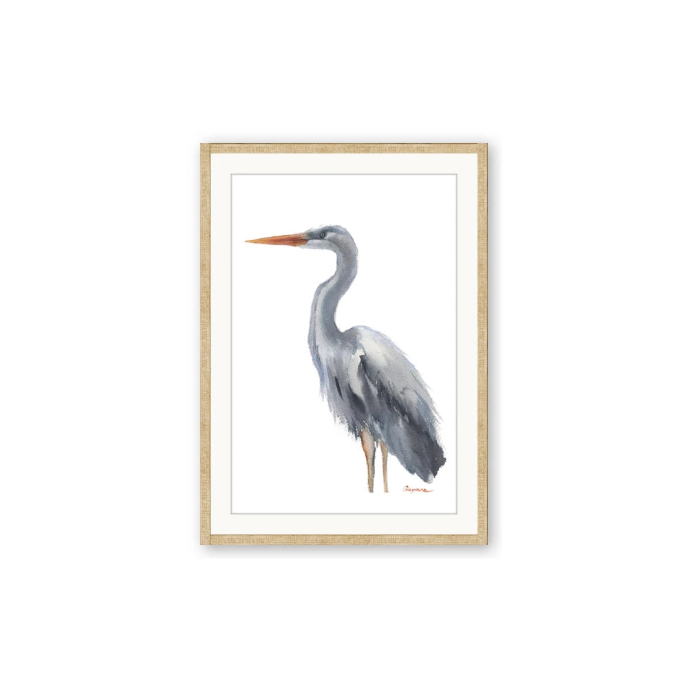 Egret II