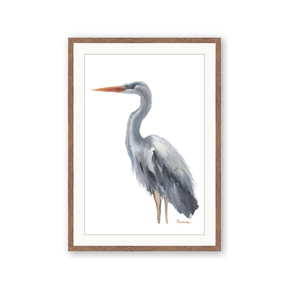 Egret II