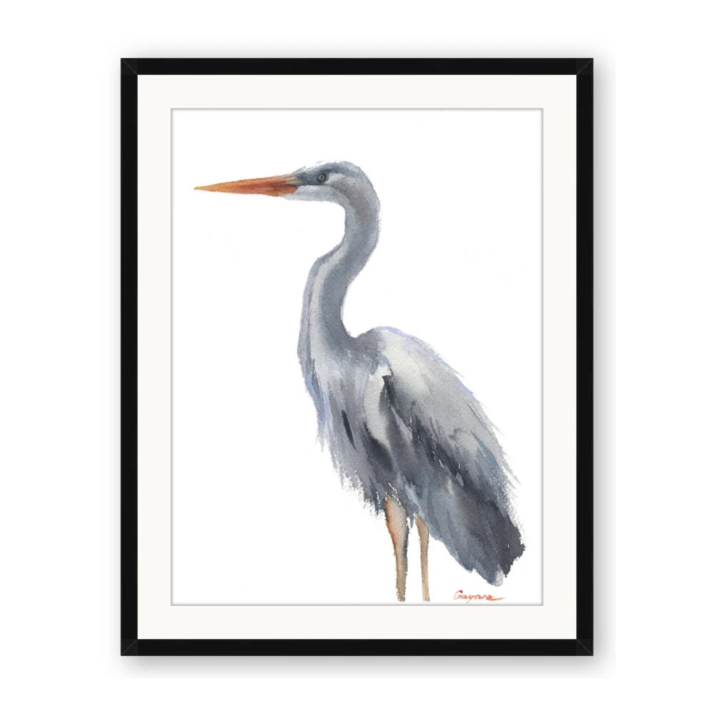 Egret II