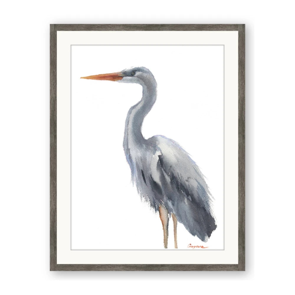 Egret II