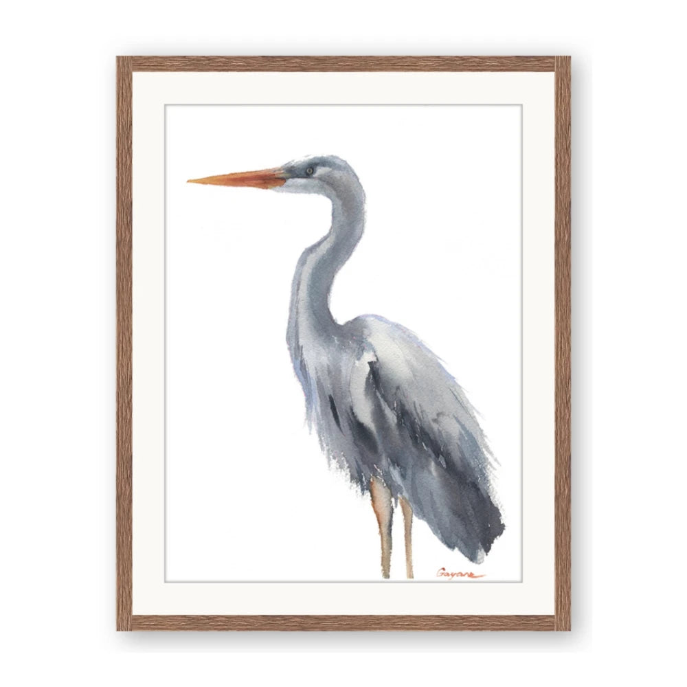 Egret II