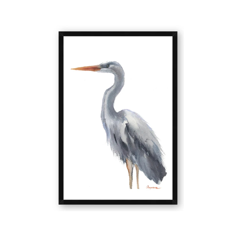 Egret II