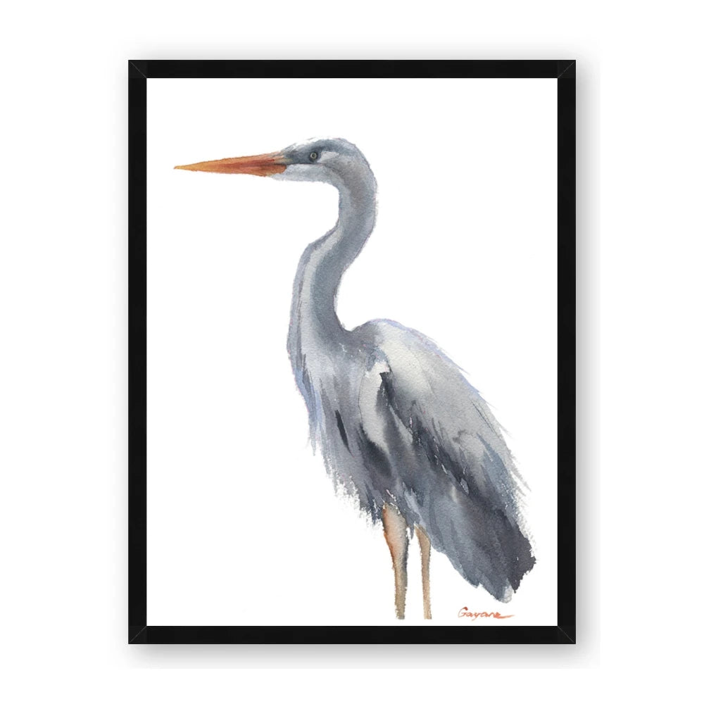 Egret II