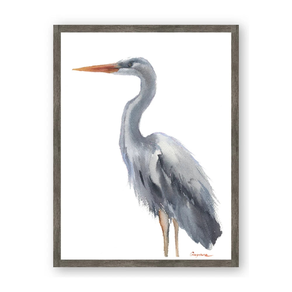 Egret II