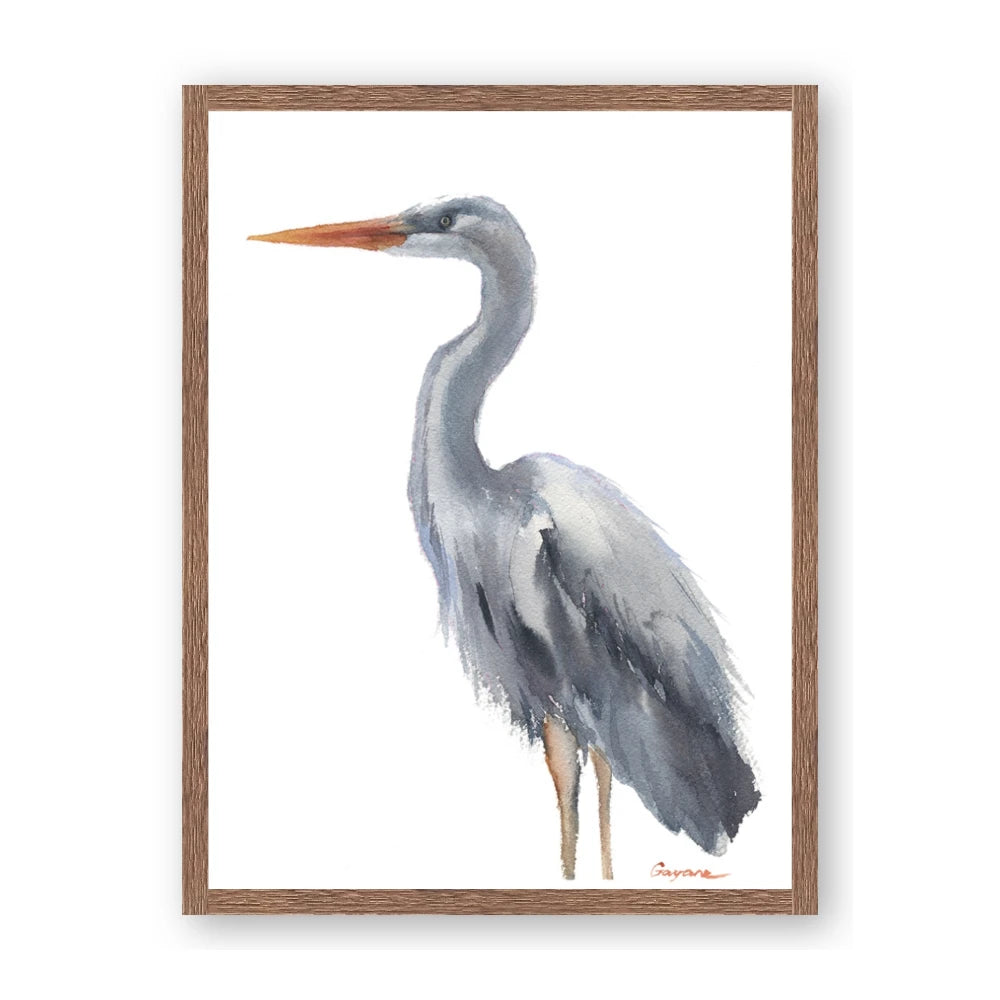 Egret II