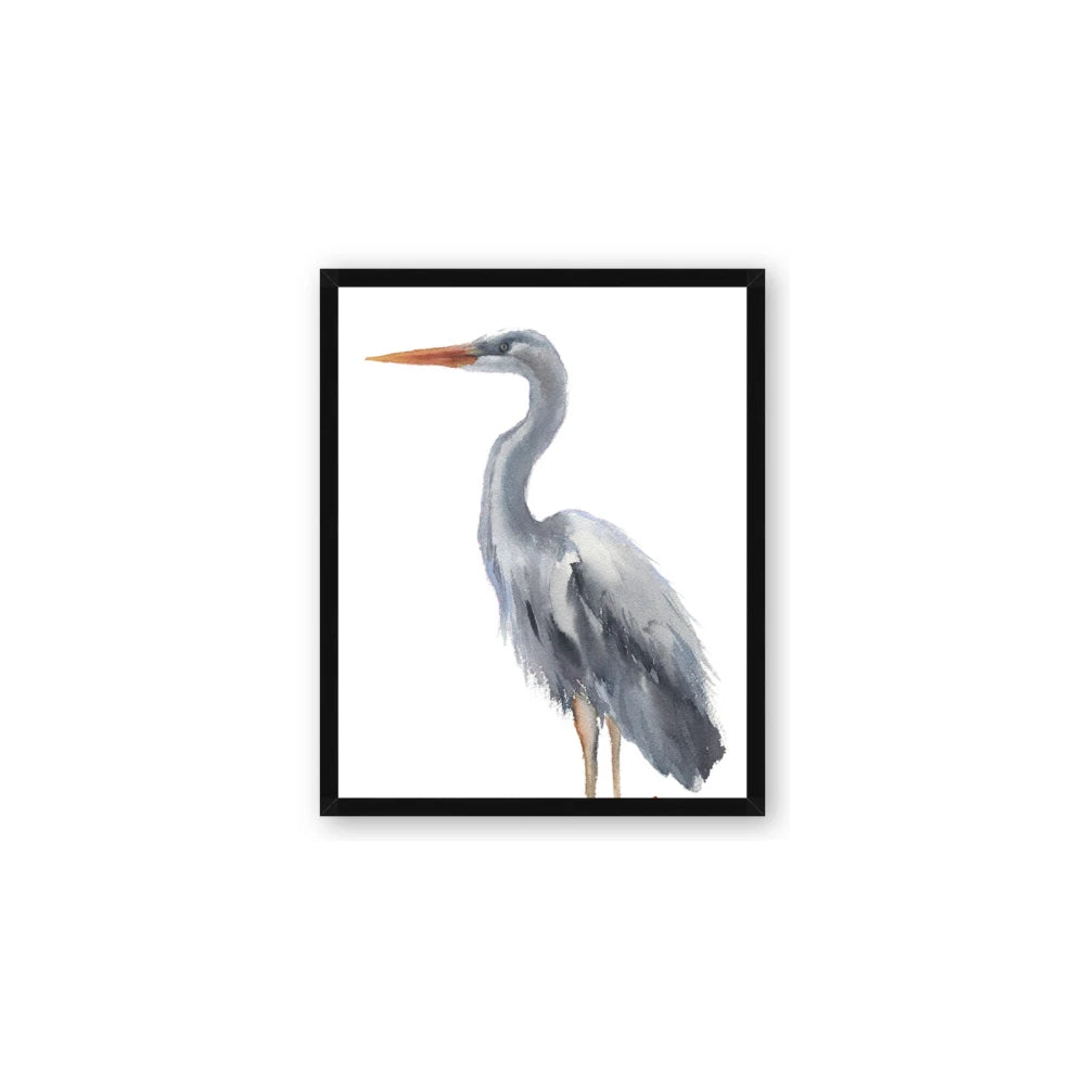 Egret II