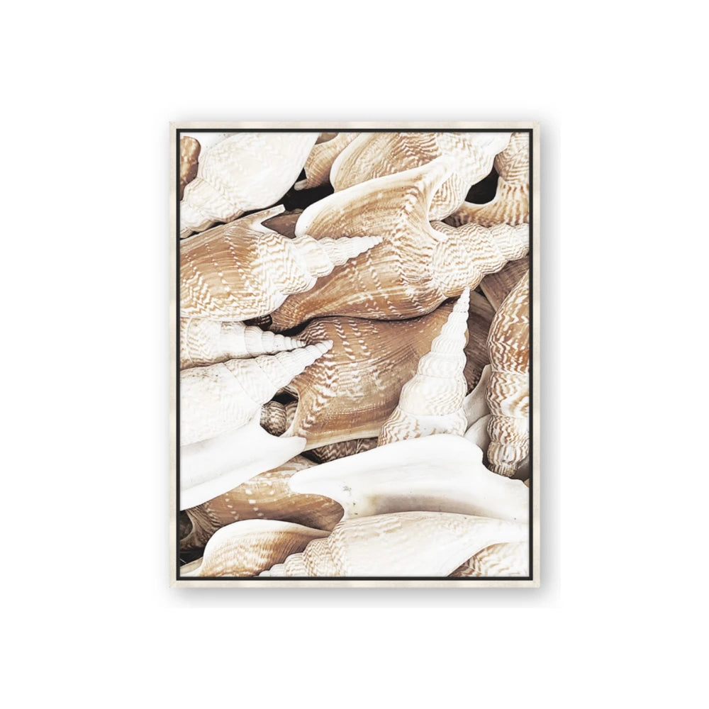 All the Shells