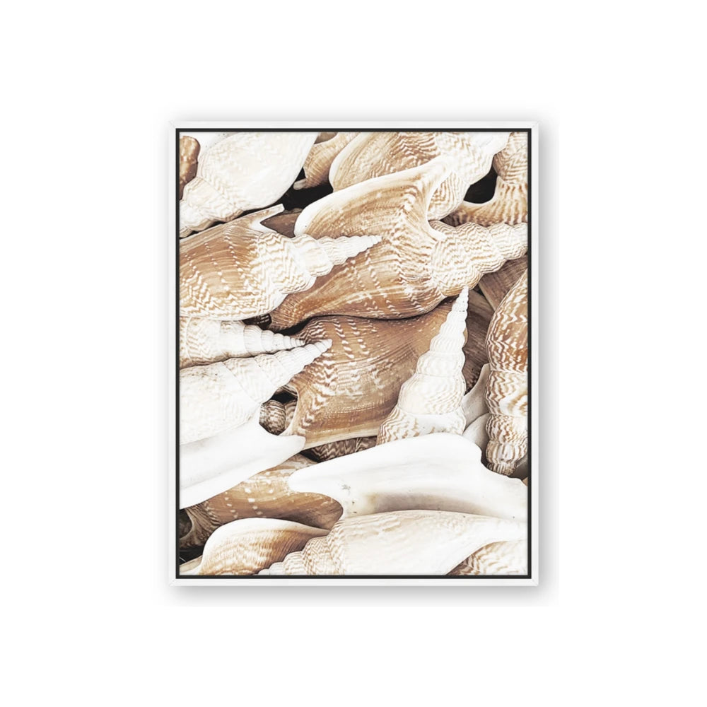 All the Shells