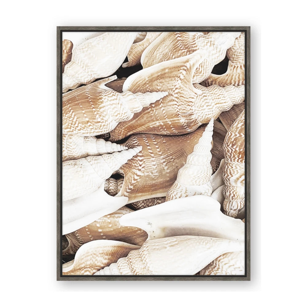All the Shells
