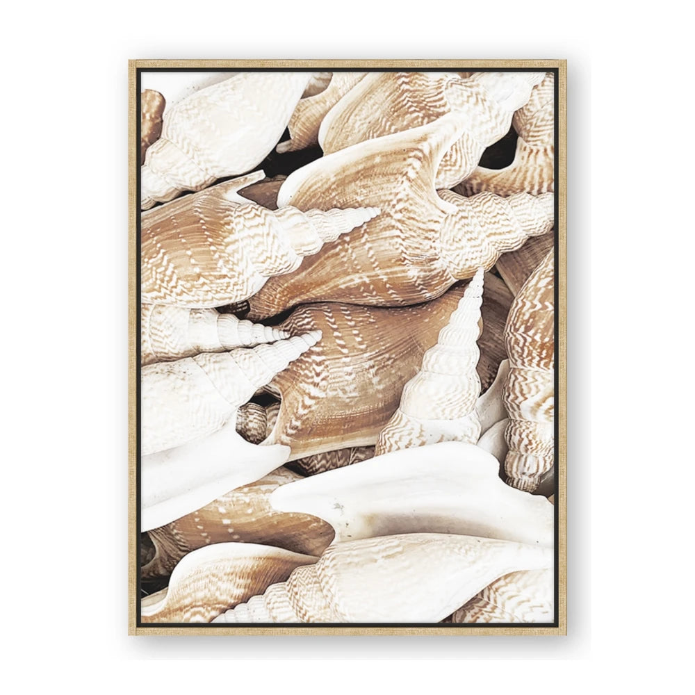 All the Shells