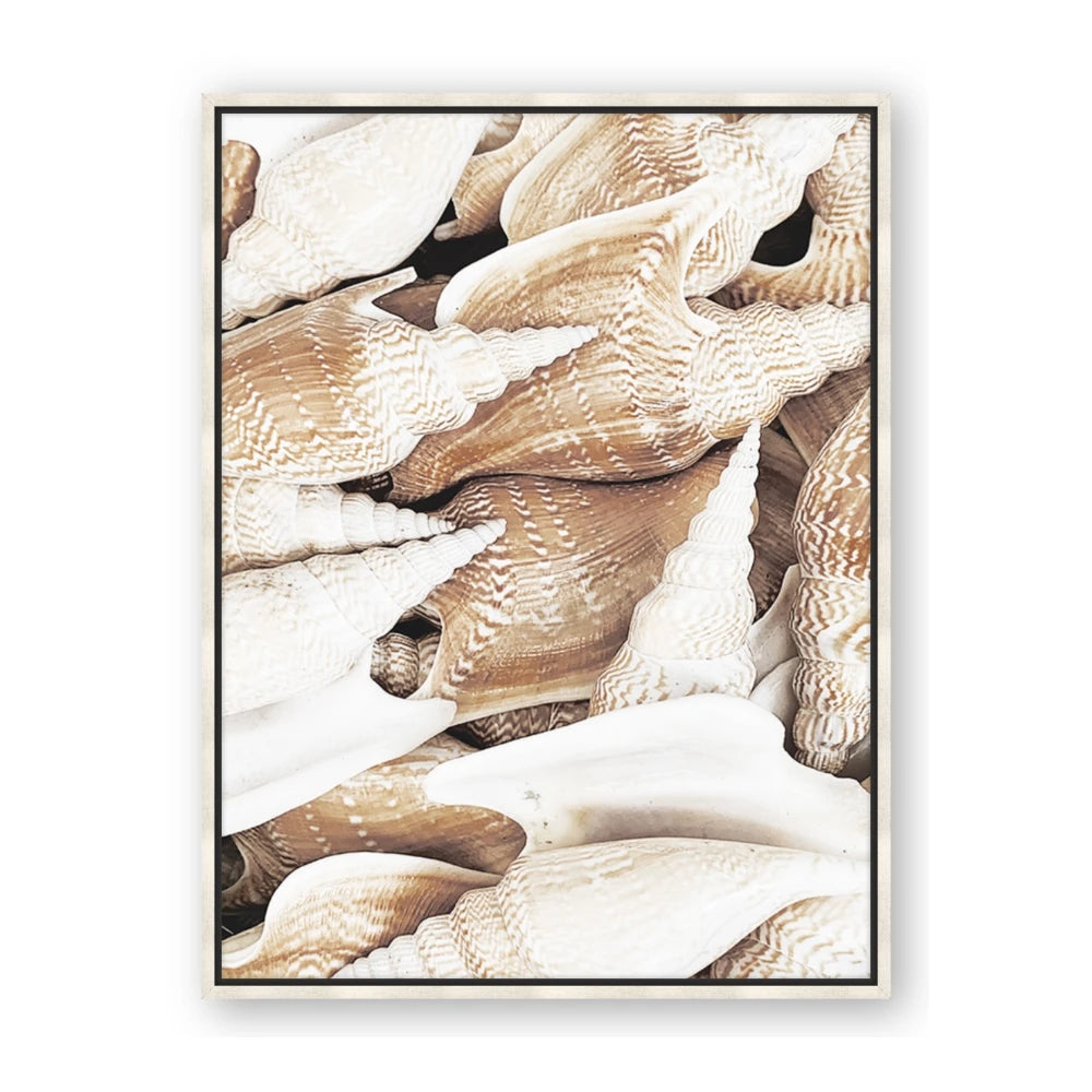 All the Shells