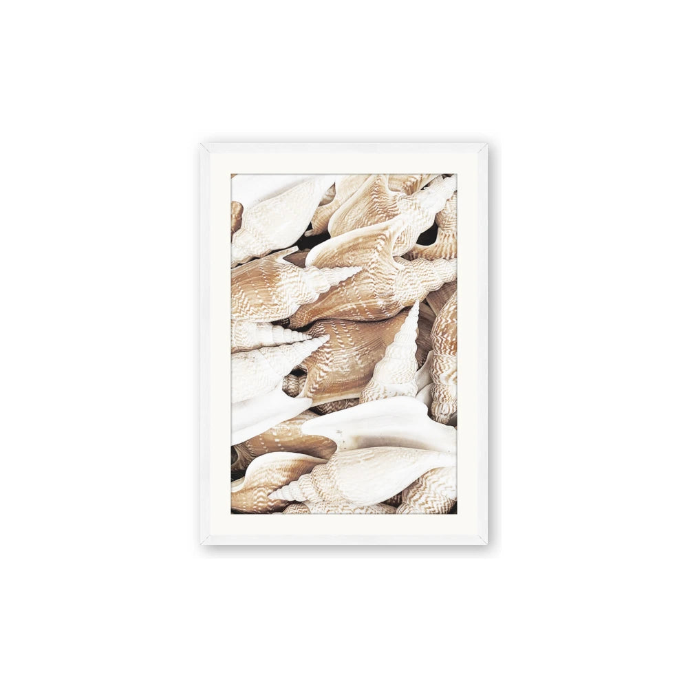 All the Shells