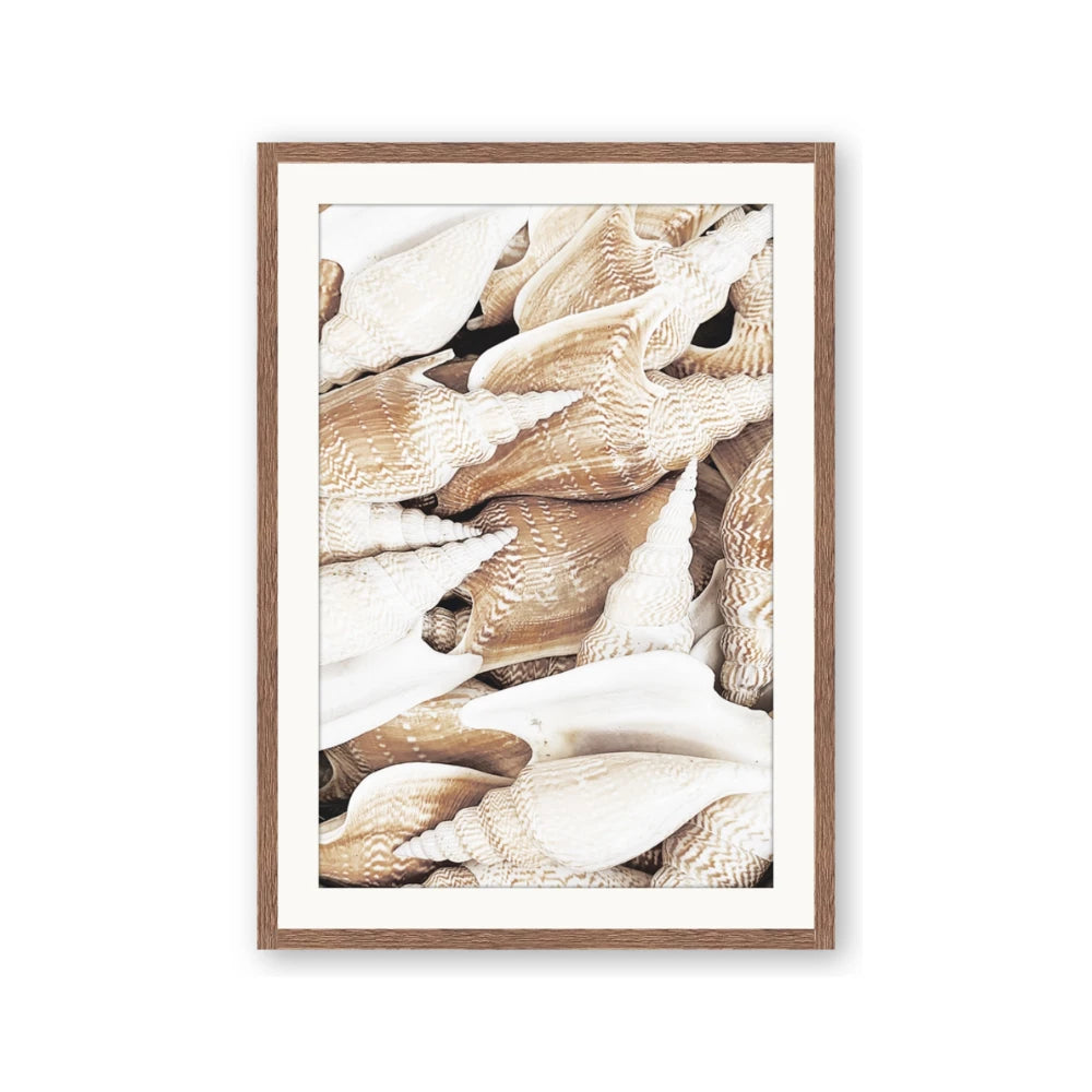 All the Shells