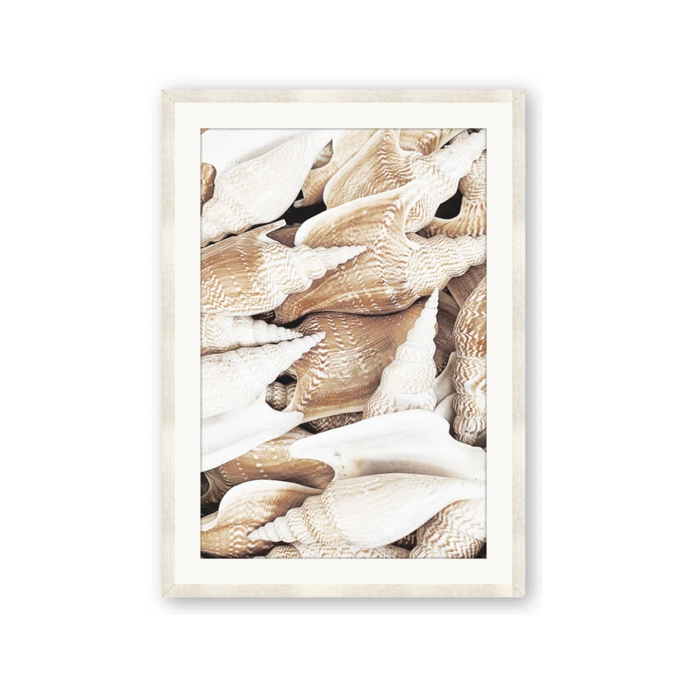 All the Shells