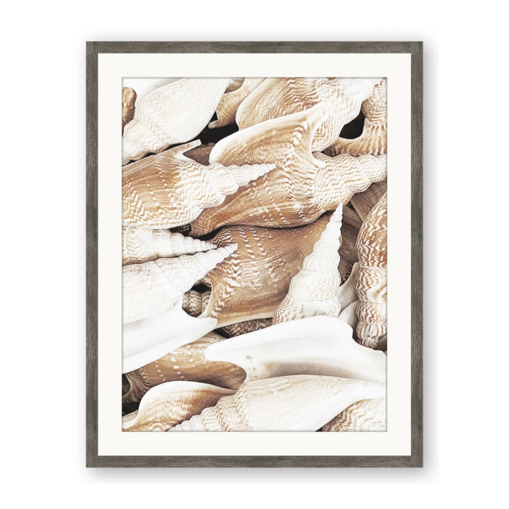 All the Shells