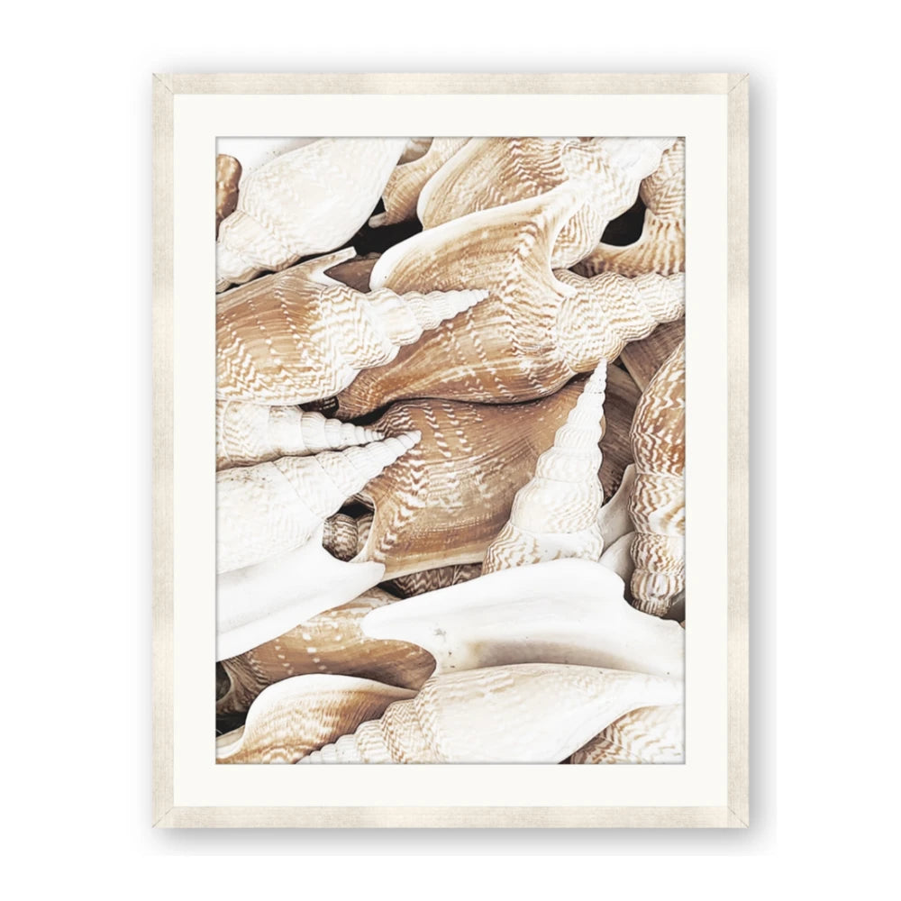 All the Shells