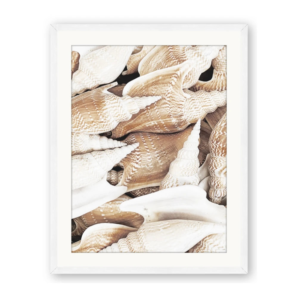 All the Shells