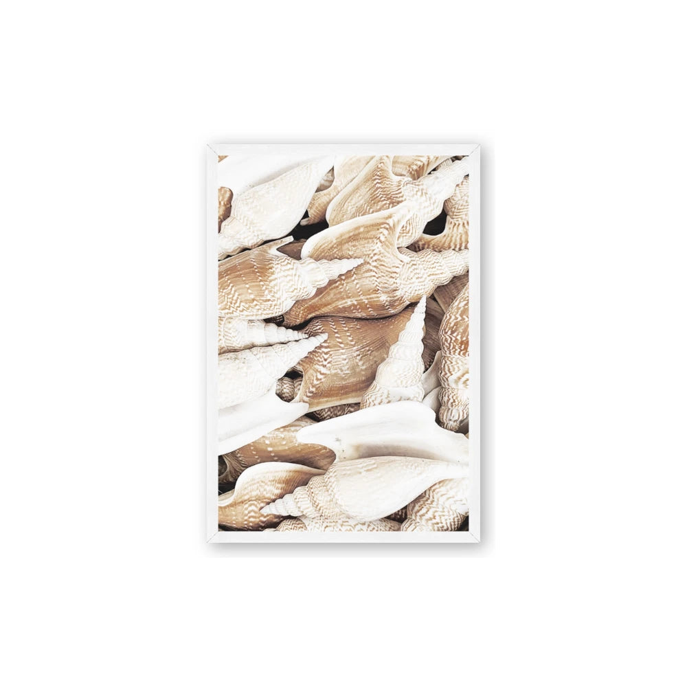 All the Shells