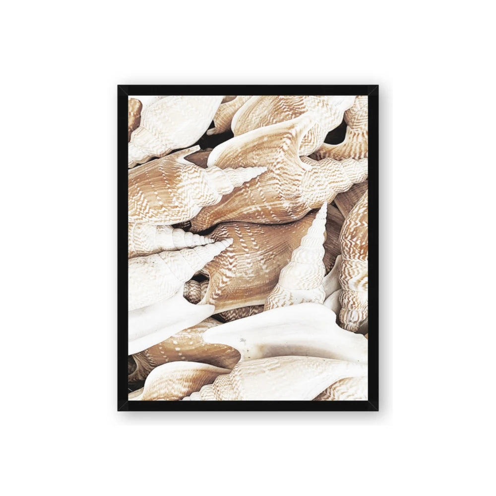 All the Shells