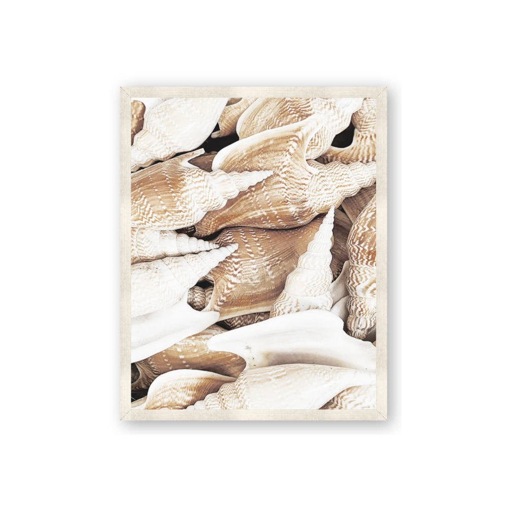 All the Shells