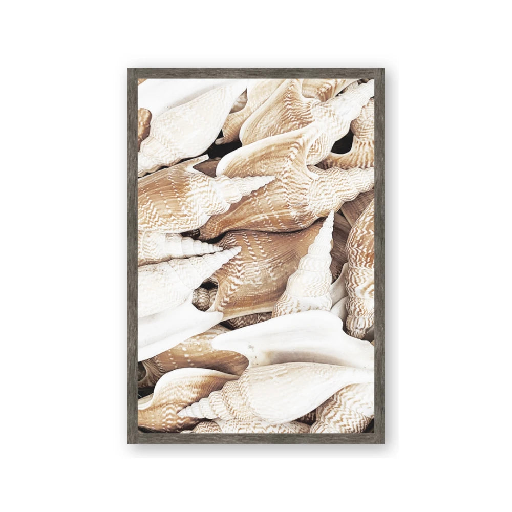 All the Shells