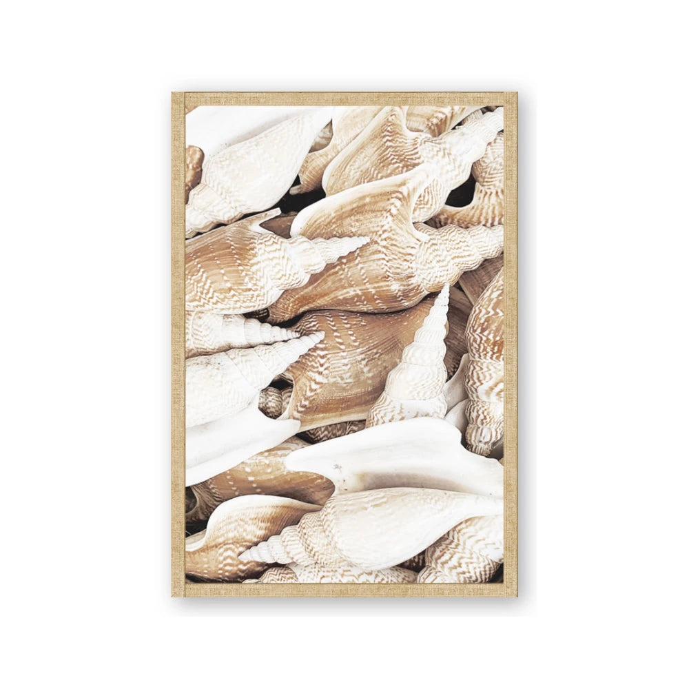 All the Shells