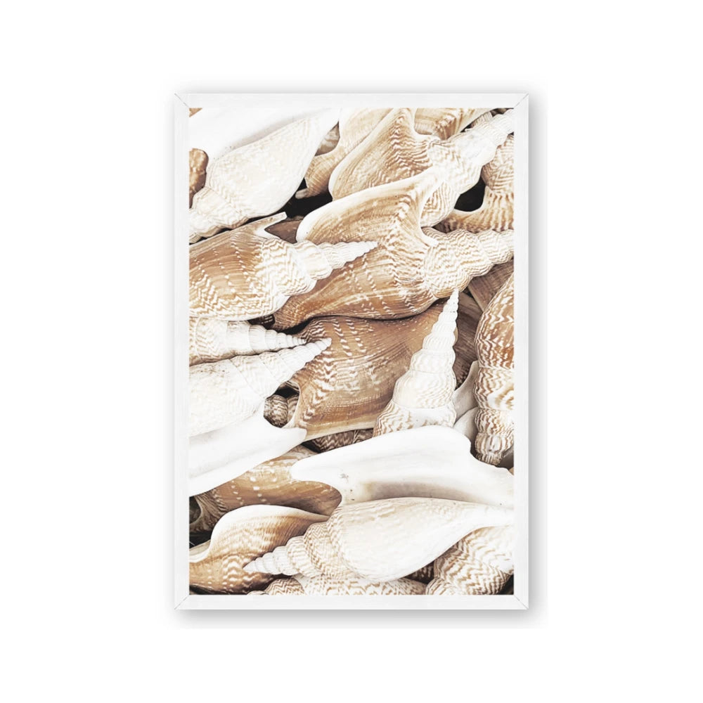 All the Shells