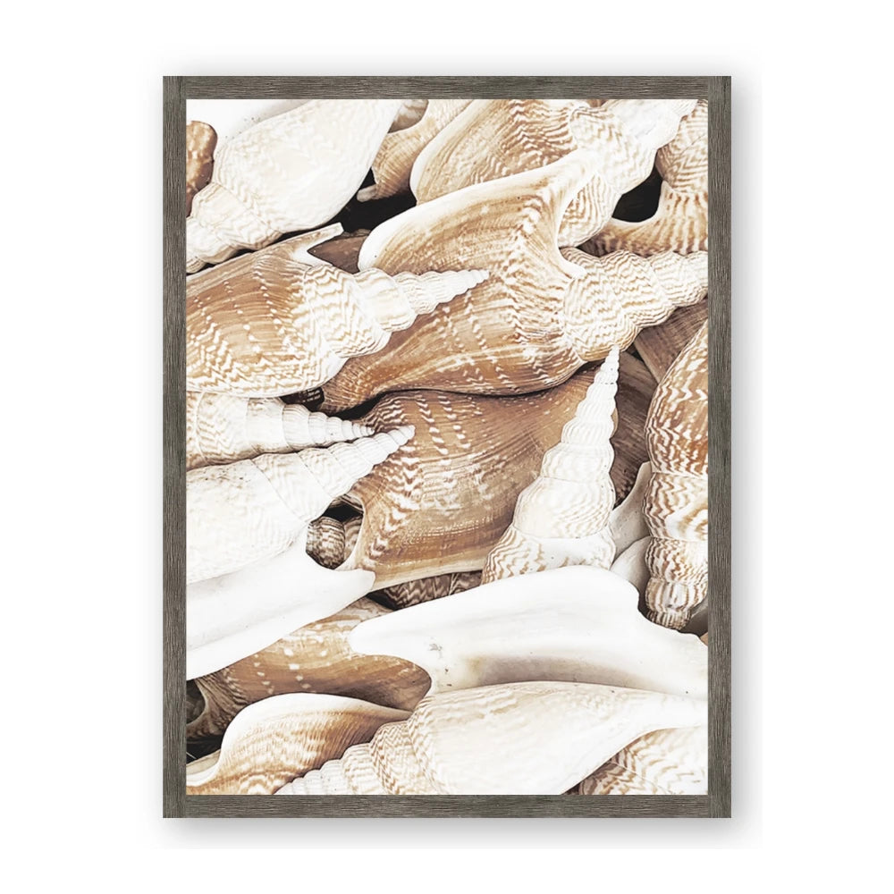 All the Shells