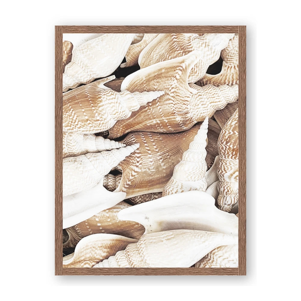 All the Shells