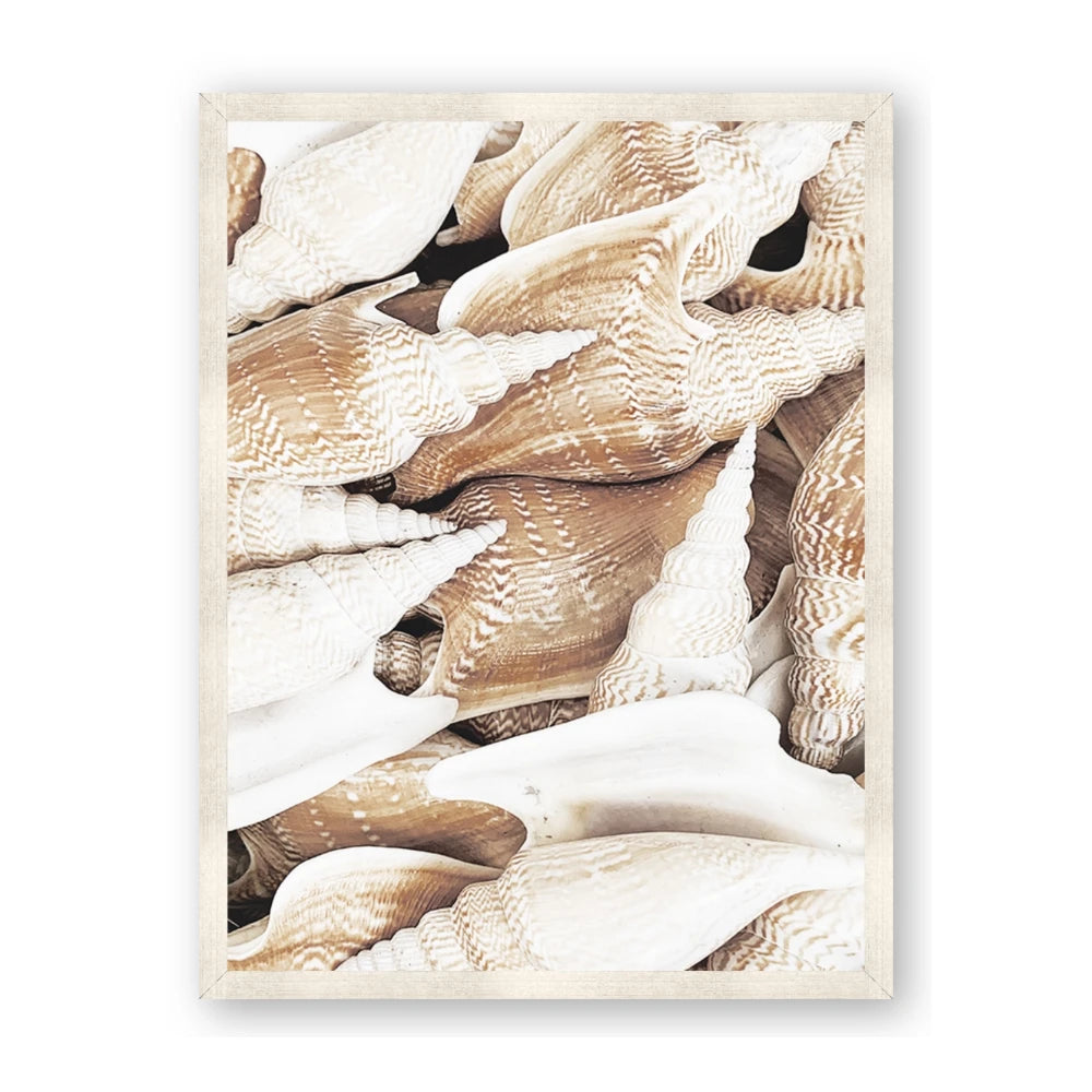All the Shells