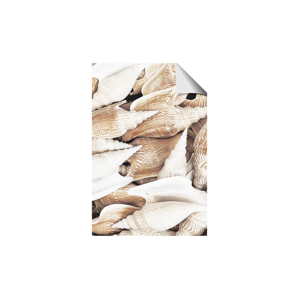 All the Shells