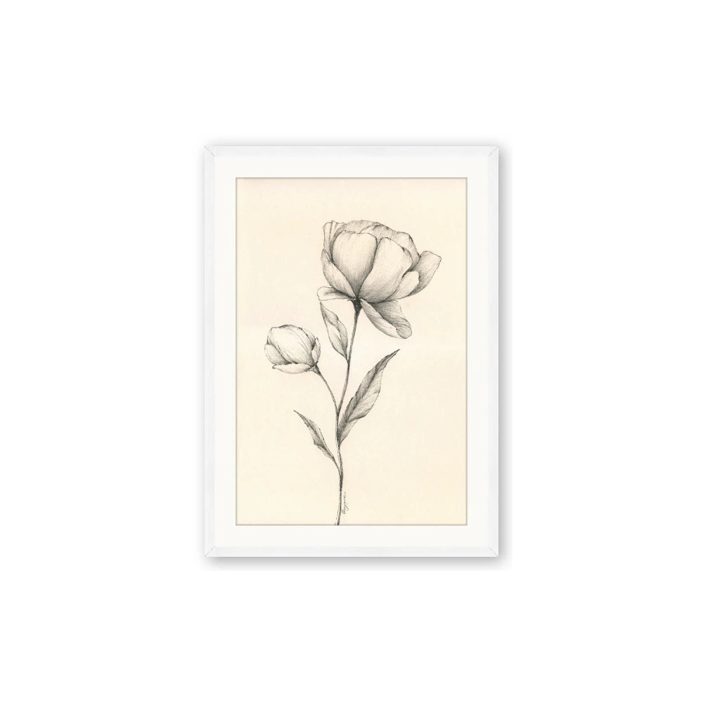 Blossoms in Stillness