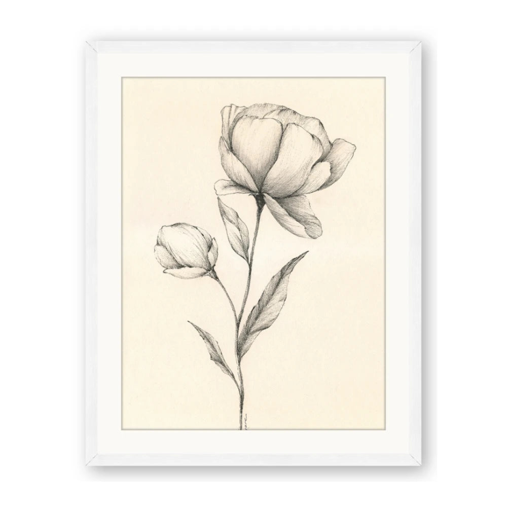 Blossoms in Stillness