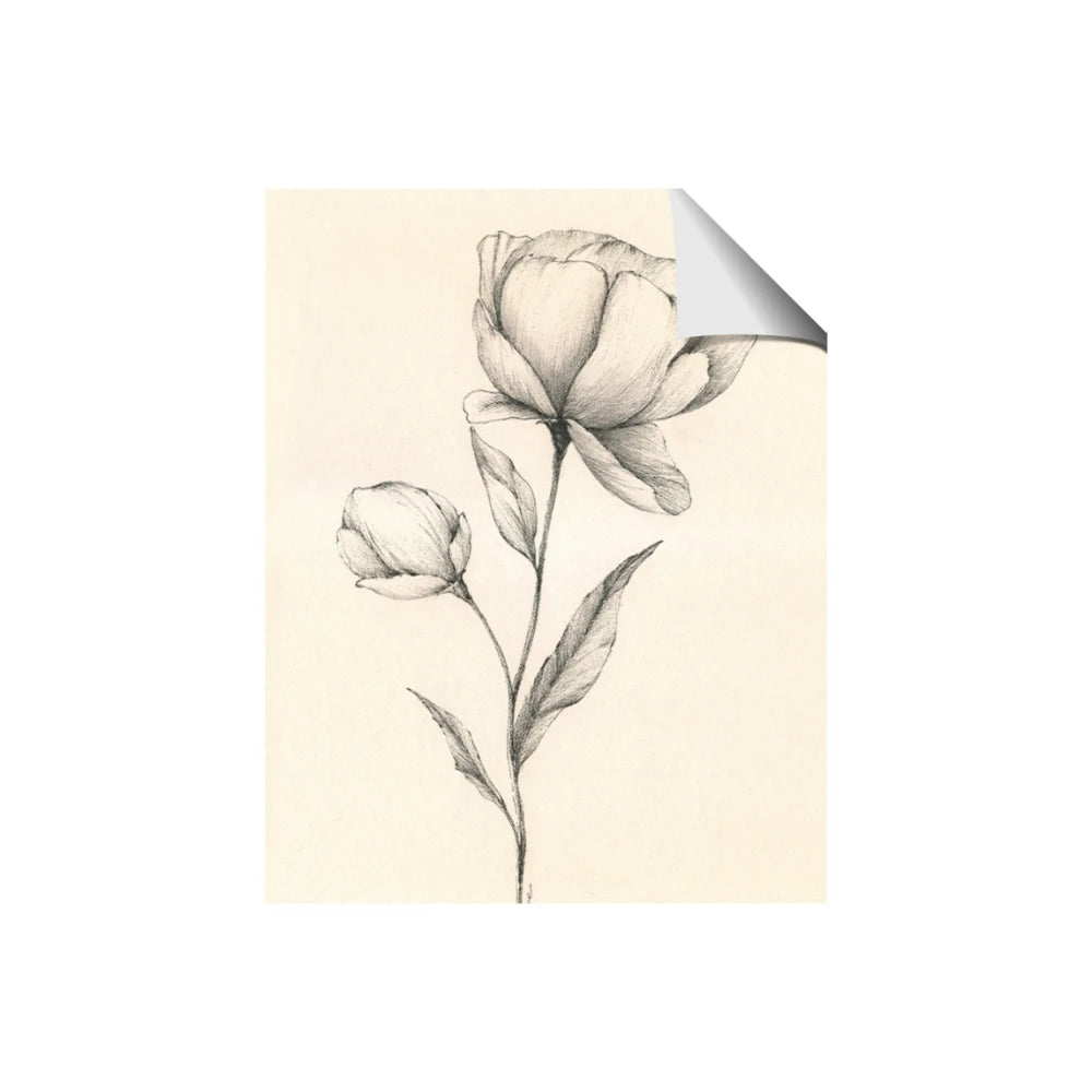 Blossoms in Stillness
