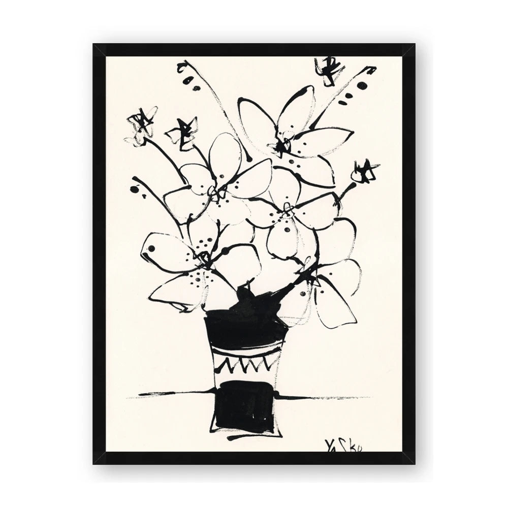 Bloom in Contrast