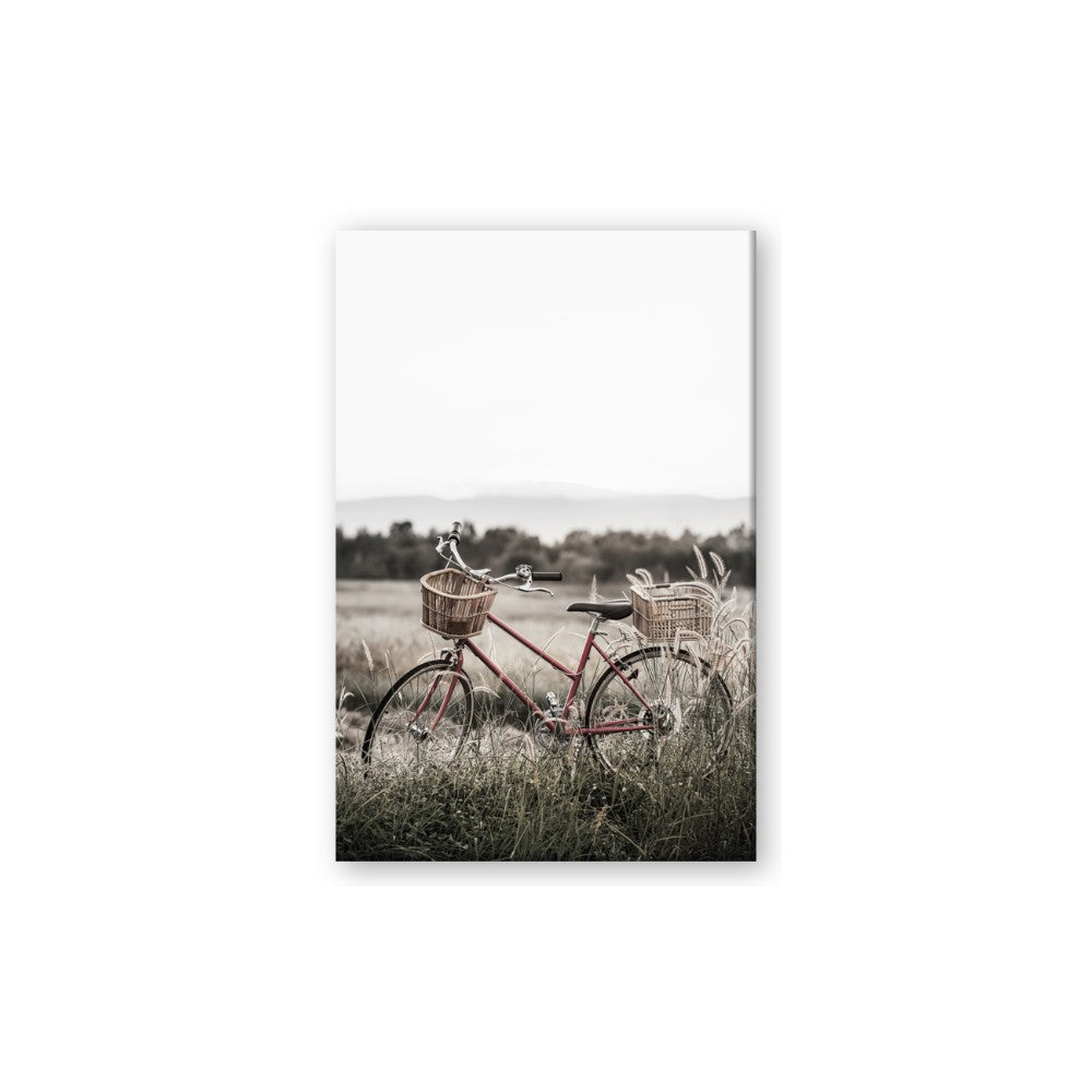 Bicycle Basket