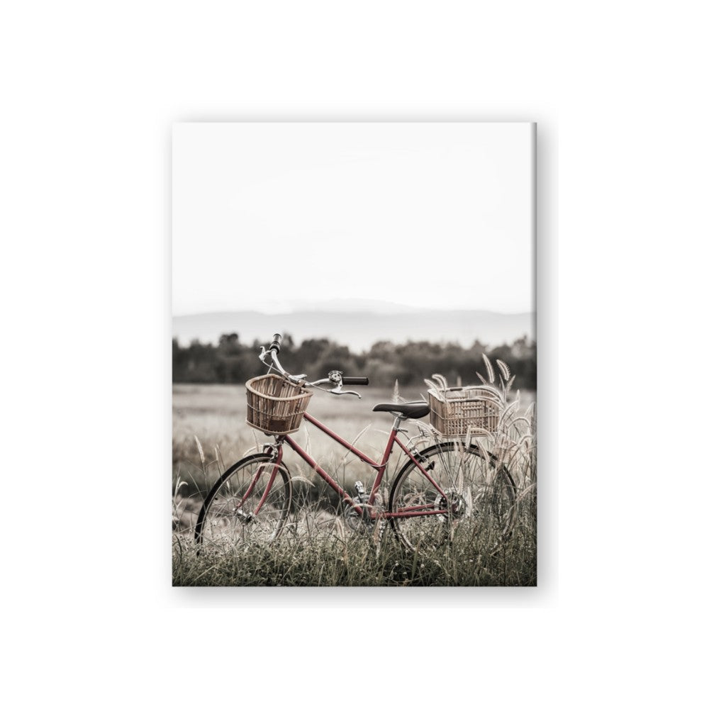 Bicycle Basket