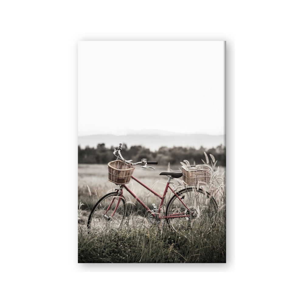 Bicycle Basket