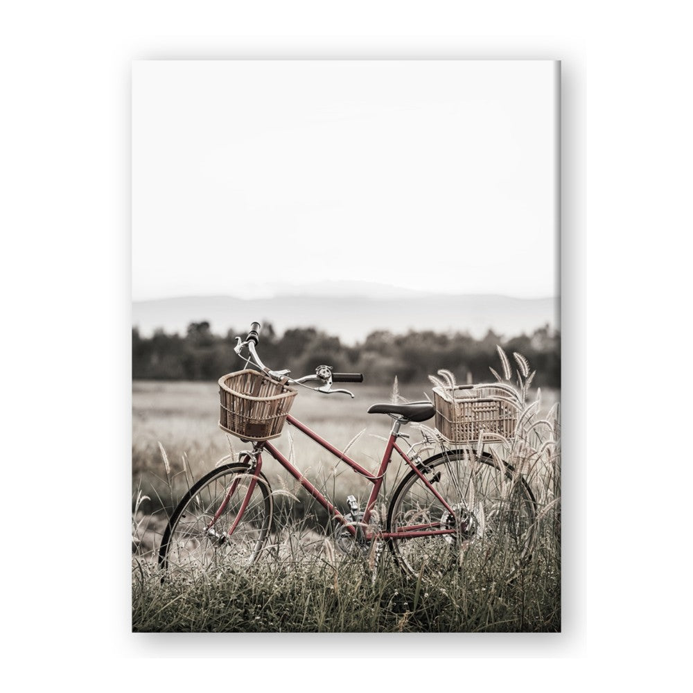 Bicycle Basket