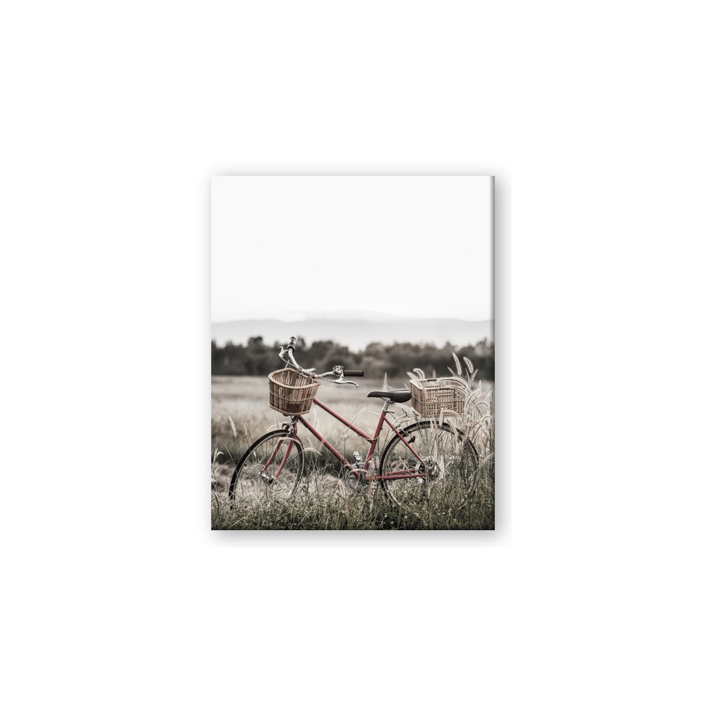 Bicycle Basket