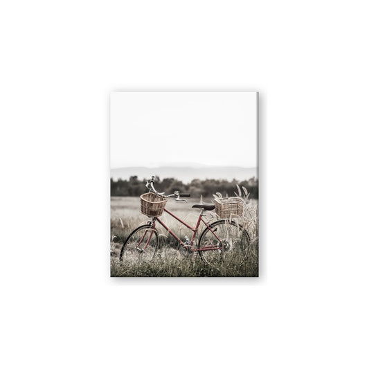 Bicycle Basket