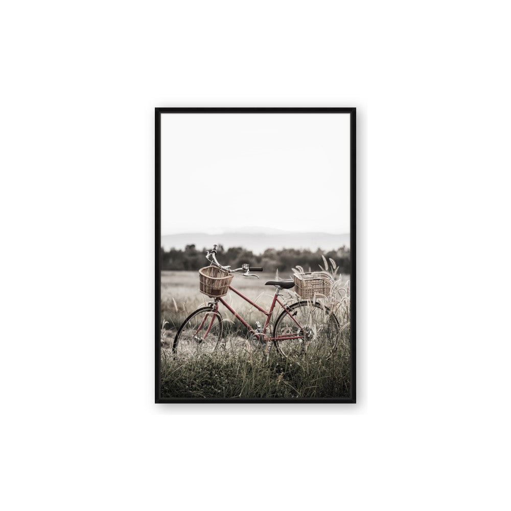 Bicycle Basket