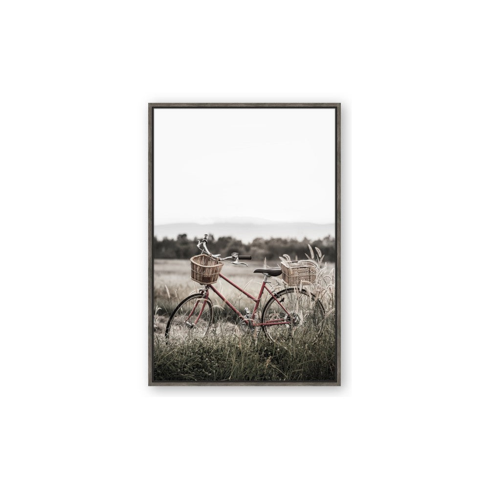 Bicycle Basket