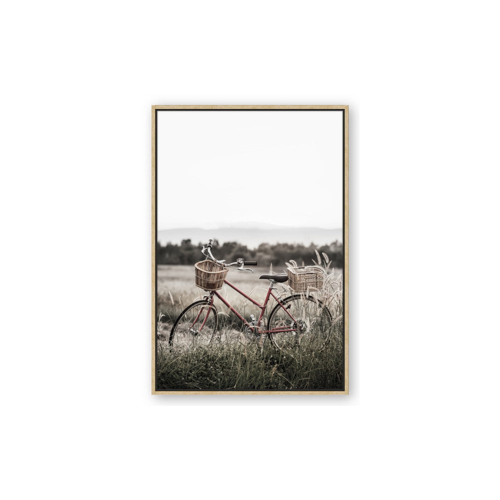 Bicycle Basket