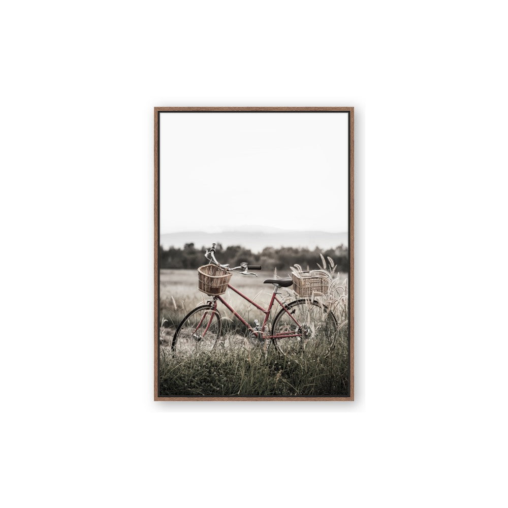 Bicycle Basket