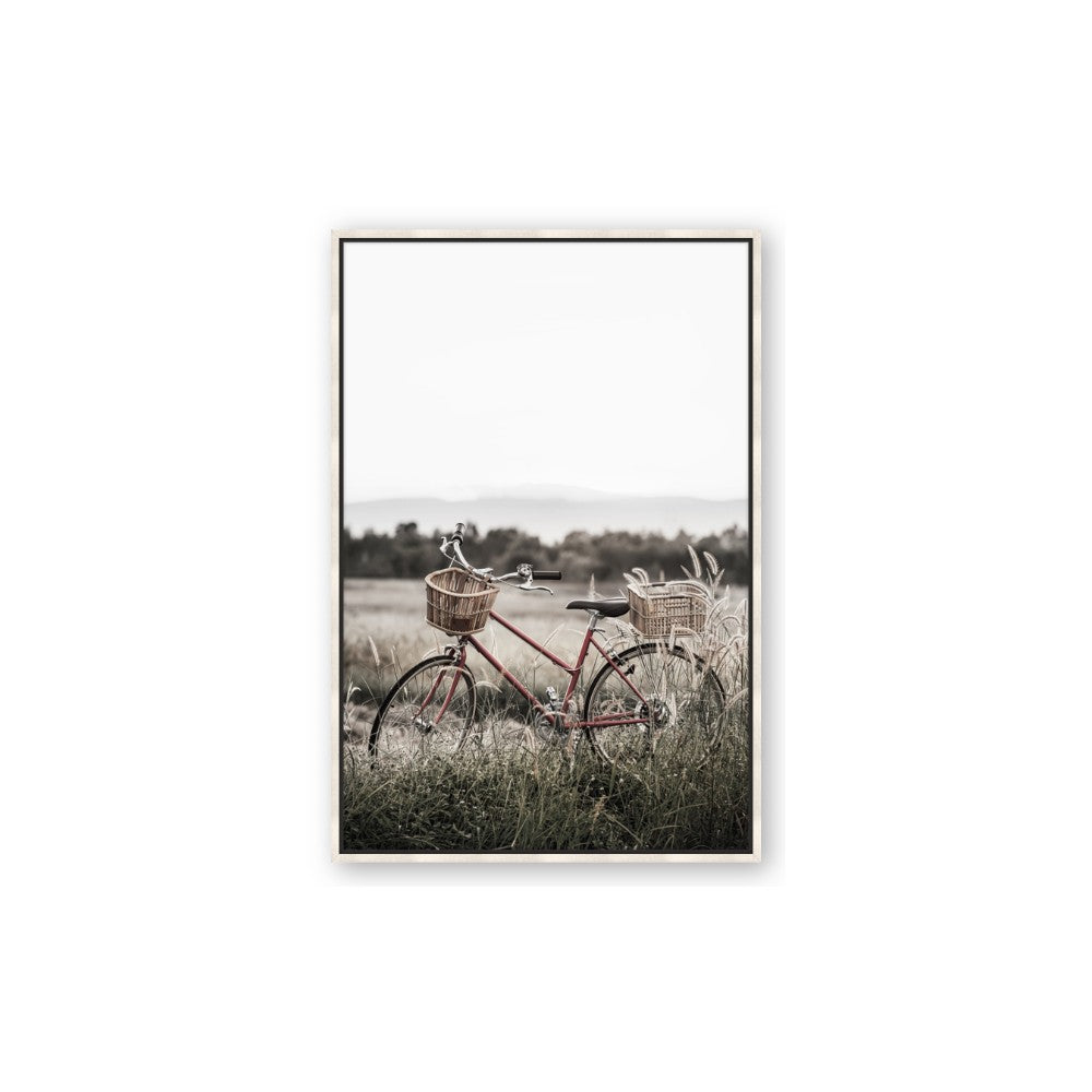 Bicycle Basket