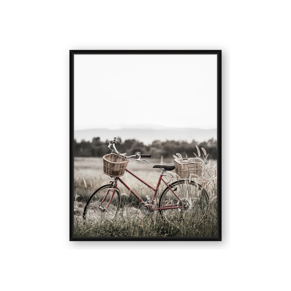 Bicycle Basket